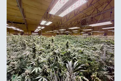 [Address not provided], Selma, OR 97538 - Photo 15