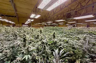 [Address not provided], Selma, OR 97538 - Photo 15