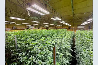 [Address not provided], Selma, OR 97538 - Photo 19