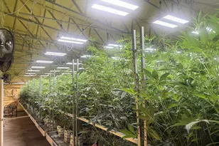 [Address not provided], Selma, OR 97538 - Photo 9