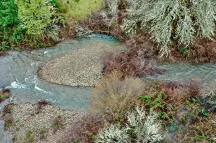 [Address not provided], Selma, OR 97538 - Photo 43