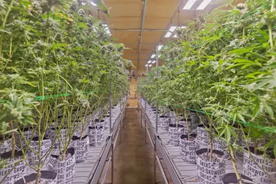 [Address not provided], Selma, OR 97538 - Photo 11