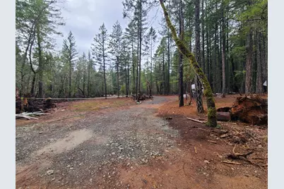 151 Linkhart Drive, Selma, OR 97538 - Photo 15