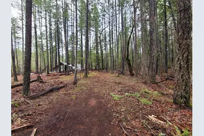 151 Linkhart Drive, Selma, OR 97538 - Photo 17