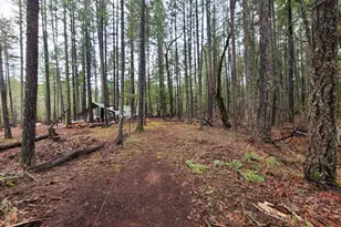 151 Linkhart Dr, Selma, OR 97538 - Photo 17