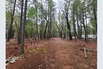 151 Linkhart Drive, Selma, OR 97538 - Photo 19