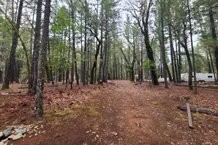 151 Linkhart Dr, Selma, OR 97538 - Photo 19