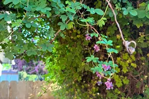 5119 Sturdivant Ave, Klamath Falls, OR 97603 - Photo 33