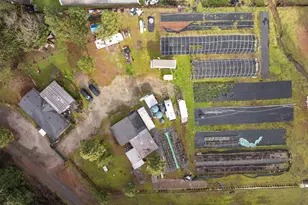 110 Pine Tree Way, Selma, OR 97538 - Photo 29