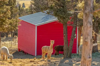5582 N McKay Road, Prineville, OR 97754 - Photo 47