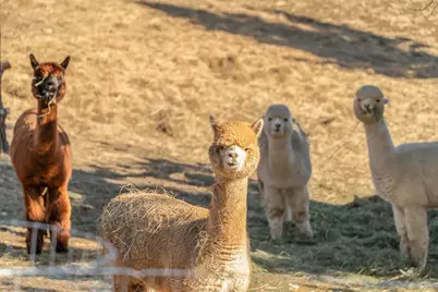 5582 N McKay Road, Prineville, OR 97754 - Photo 49