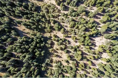 12681 Dead Indian Memorial Road, Ashland, OR 97520 - Photo 7