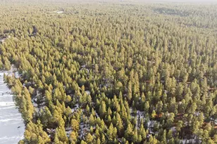 70368 Mahonia, Black Butte Ranch, OR 97759 - Photo 53