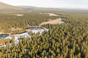 70368 Mahonia, Black Butte Ranch, OR 97759 - Photo 55