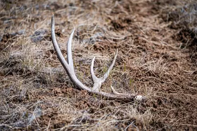 Belshaw Creek Road, Mount Vernon, OR 97865 - Photo 3