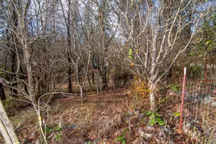 323 Roan Dr, Grants Pass, OR 97526 - Photo 59