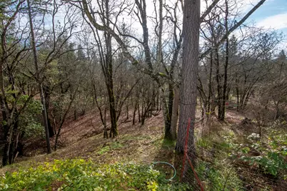 323 Roan Drive, Grants Pass, OR 97526 - Photo 61