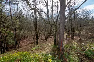 323 Roan Dr, Grants Pass, OR 97526 - Photo 61