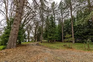 3311 Rogue River Hwy, Gold Hill, OR 97525 - Photo 31