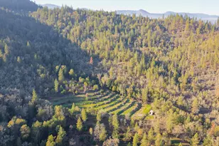 4098 Foots Creek R Fork Rd, Gold Hill, OR 97525 - Photo 3