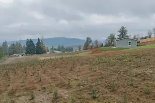 25589 Cemetery Rd, Monroe, OR 97456 - Photo 47