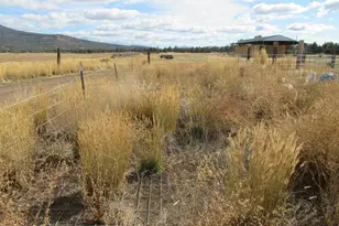 4130 Sheep Mountain Rd, Macdoel, CA 96058 - Photo 17