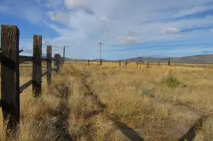 4130 Sheep Mountain Rd, Macdoel, CA 96058 - Photo 11