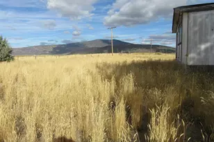 4130 Sheep Mountain Rd, Macdoel, CA 96058 - Photo 5