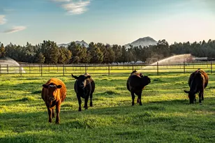 66505 Gerking Market Rd, Bend, OR 97703 - Photo 63