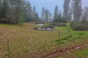 250 Bolt View Rd, Grants Pass, OR 97527 - Photo 9