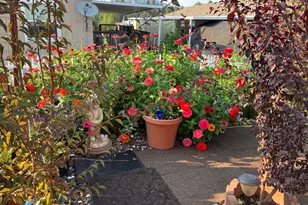 8401 Old Stage Rd, Central Point, OR 97502 - Photo 27