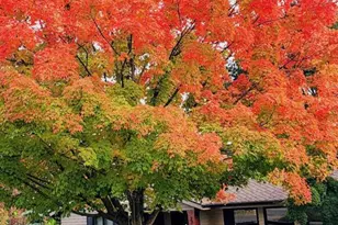 2798 Yvonne Rd, Medford, OR 97504 - Photo 75