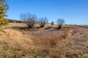 5415 Haskins Rd, Bonanza, OR 97623 - Photo 97