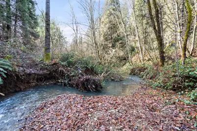 177 Hobbs Lane, Glendale, OR 97442 - Photo 13