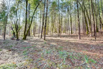 530 Ingalls Lane, Wilderville, OR 97543 - Photo 53