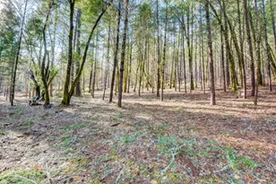 530 Ingalls Ln, Wilderville, OR 97543 - Photo 53