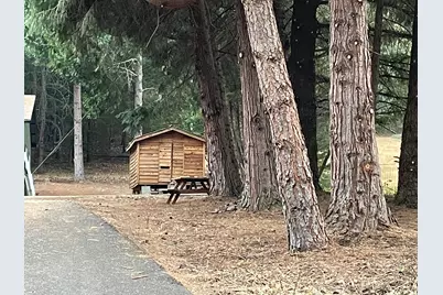 530 Ingalls Lane, Wilderville, OR 97543 - Photo 45