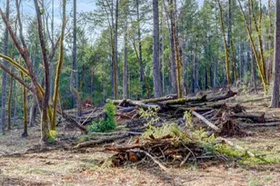 530 Ingalls Ln, Wilderville, OR 97543 - Photo 57