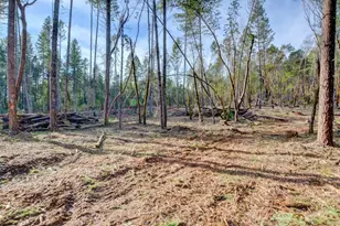 530 Ingalls Ln, Wilderville, OR 97543 - Photo 55