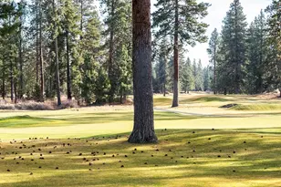 61022 Parrell Rd, Bend, OR 97702 - Photo 35