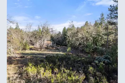 681 Daisy Hill Road, Cave Junction, OR 97523 - Photo 17