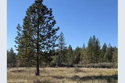 150 Illinois River Road, Selma, OR 97538 - Photo 9