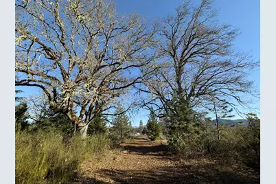 150 Illinois River Road, Selma, OR 97538 - Photo 17