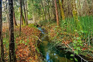5370 Caves Hwy, Cave Junction, OR 97523 - Photo 35
