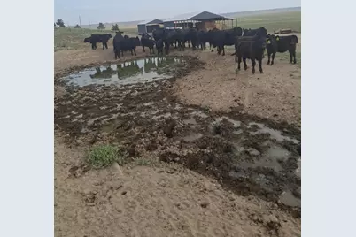 31643 L 5 Lane, Burns, OR 97720 - Photo 23