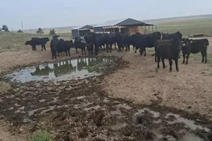 31643 L 5 Ln, Burns, OR 97720 - Photo 23