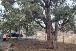 3913 SE Umatilla Loop, Prineville, OR 97754 - Photo 17