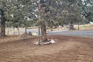 3913 SE Umatilla Loop, Prineville, OR 97754 - Photo 33