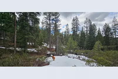 Leopard Lane #3711-015A0-04300, Bonanza, OR 97623 - Photo 7