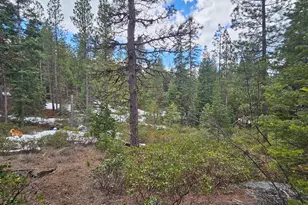 Leopard Ln, Bonanza, OR 97623 - Photo 1